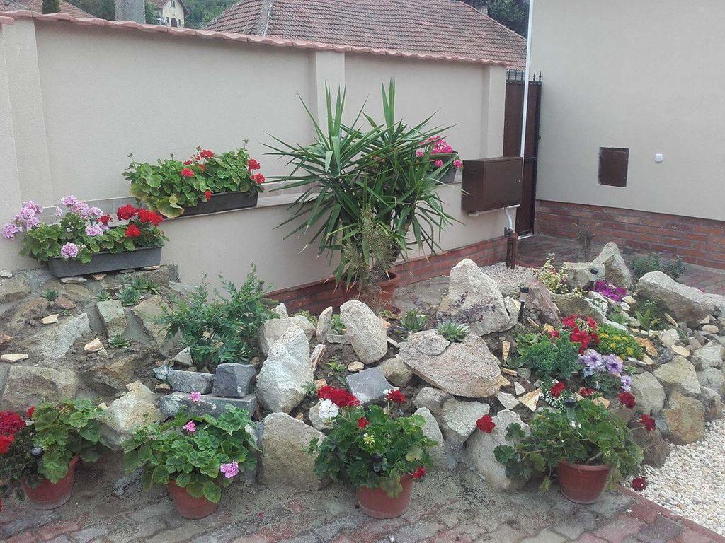 Reka Vendeghaz Hotel Tokaj Buitenkant foto